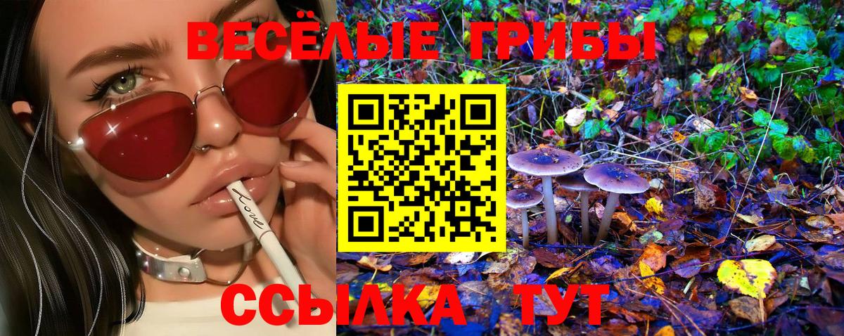 Псилоцибиновые грибы прущие грибы Владивосток