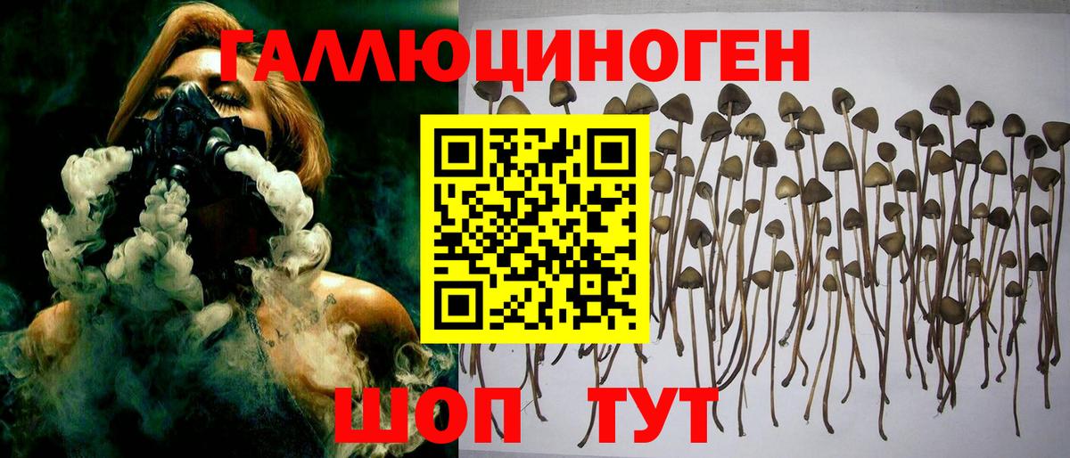 Псилоцибиновые грибы Psilocybe  Галлюциногенные грибы ЛСД  Владивосток  Вход с VPN 